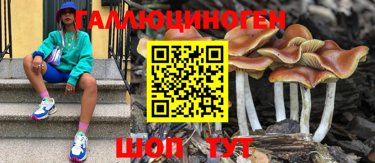 Галлюциногенные грибы мицелий Ахтубинск